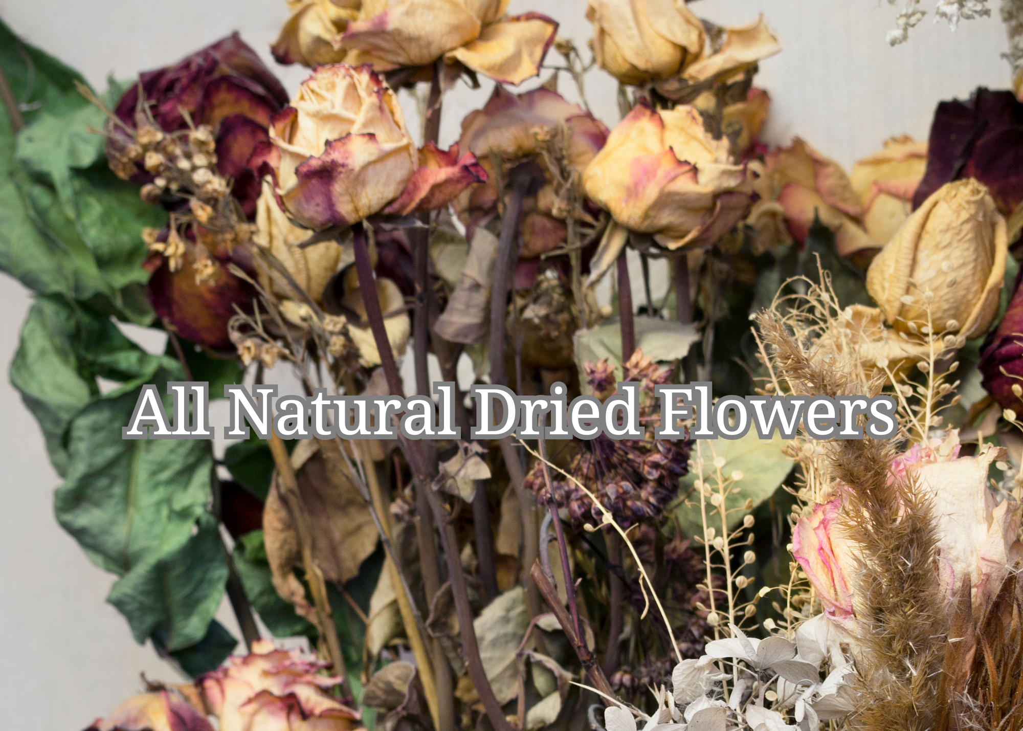 SWC Sisu Wellness Center – Großhandel Bade-/Körperöl – Amber Sandelwood Körperöl8