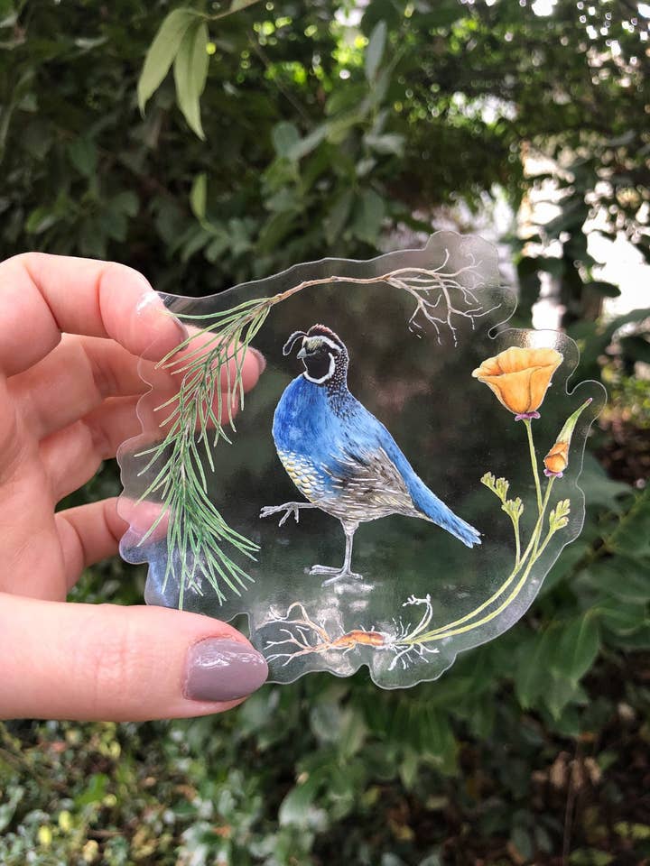 California Quail, Poppy Flower, and Pine Tree Sticker for wholesale by Hannah Moore Art