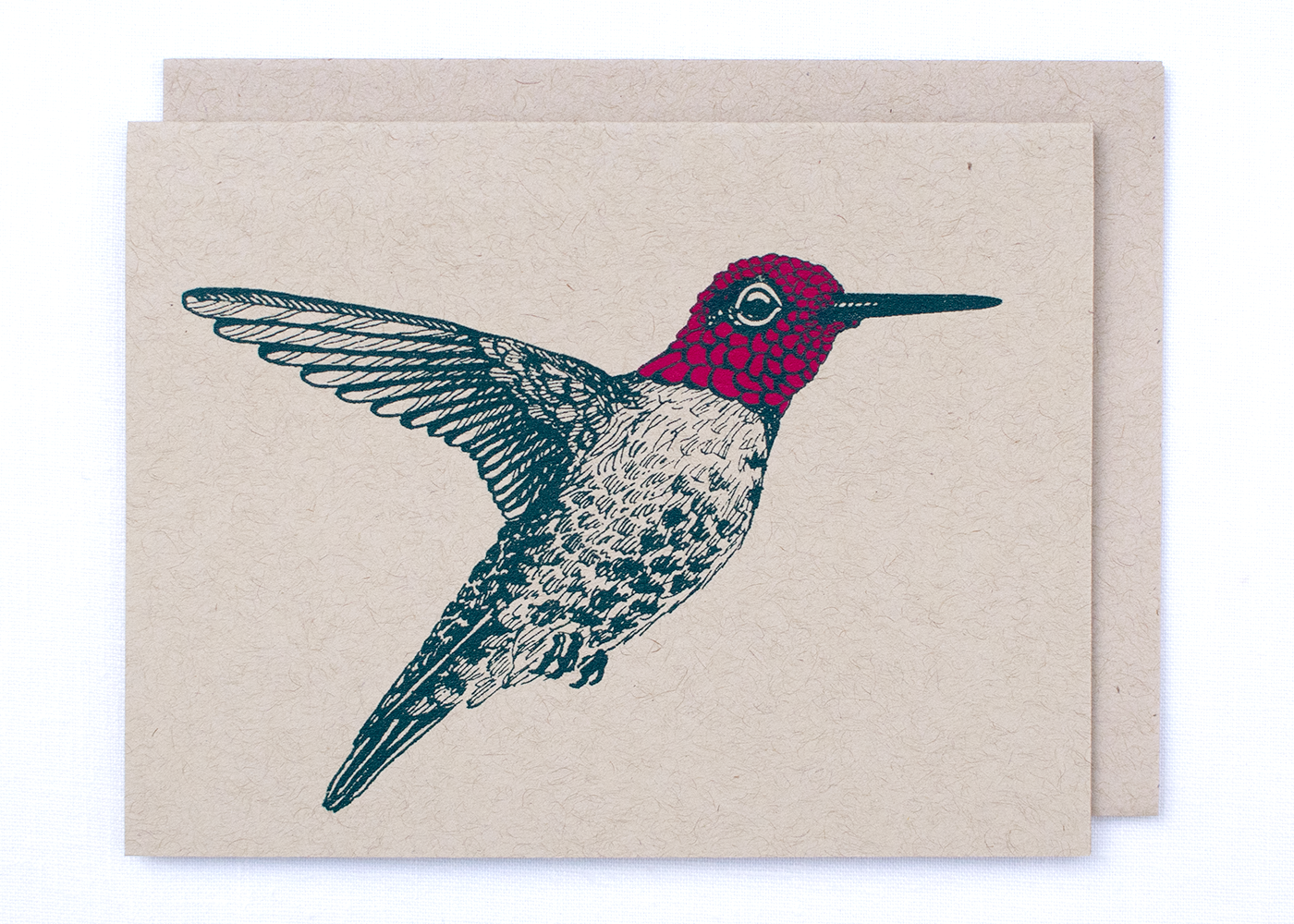 Farm and Finch Creative - Wholesale Everyday Greeting Card - Anna's Hummingbird Card3