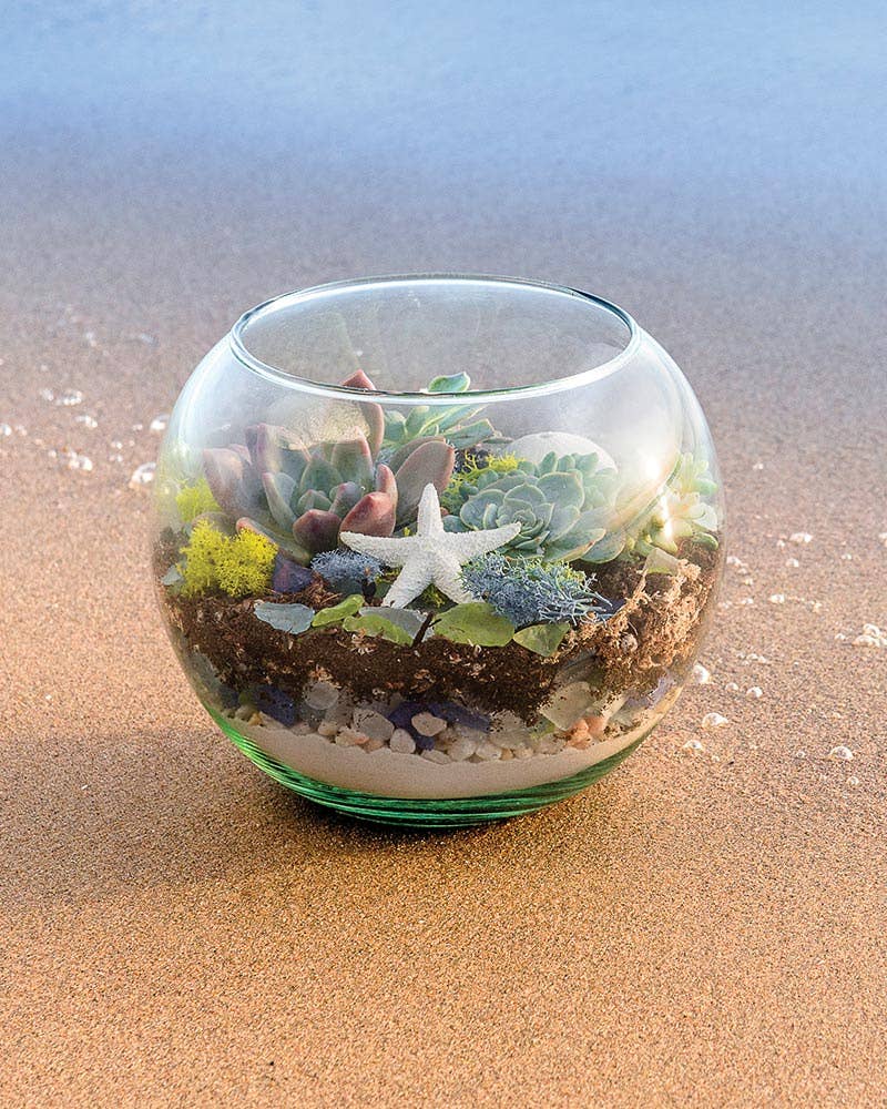 Chartreuse Beach Terrarium Kit for wholesale on Faire2