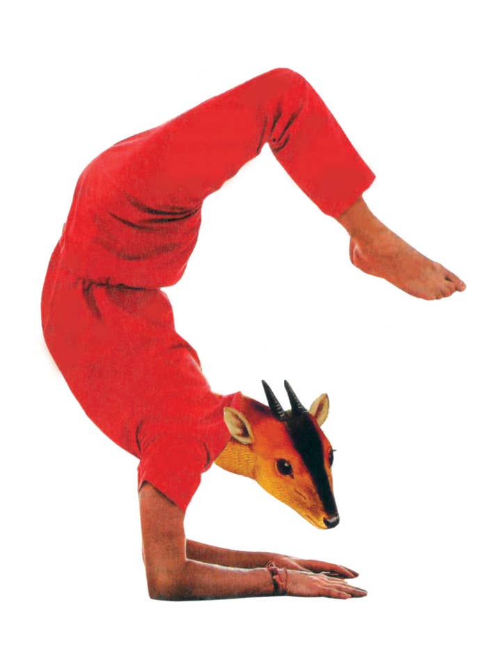 Bedankt voor je flexibiliteit. voor wholesale door Rare Bird