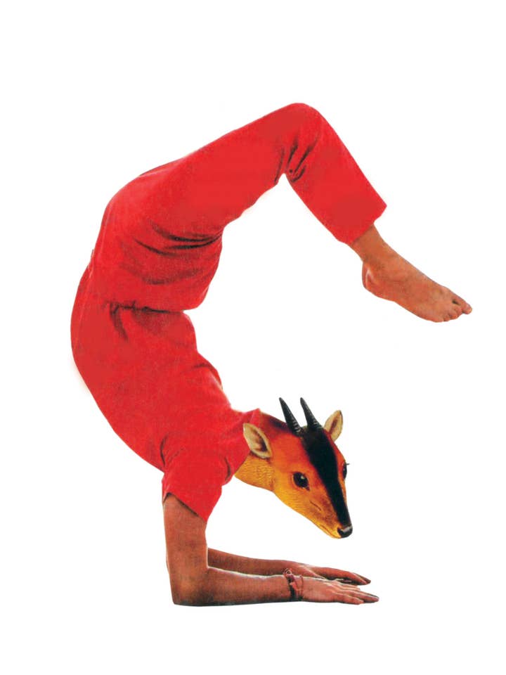 Grazie per essere così flessibile. per la vendita all'ingrosso da parte di Rare Bird