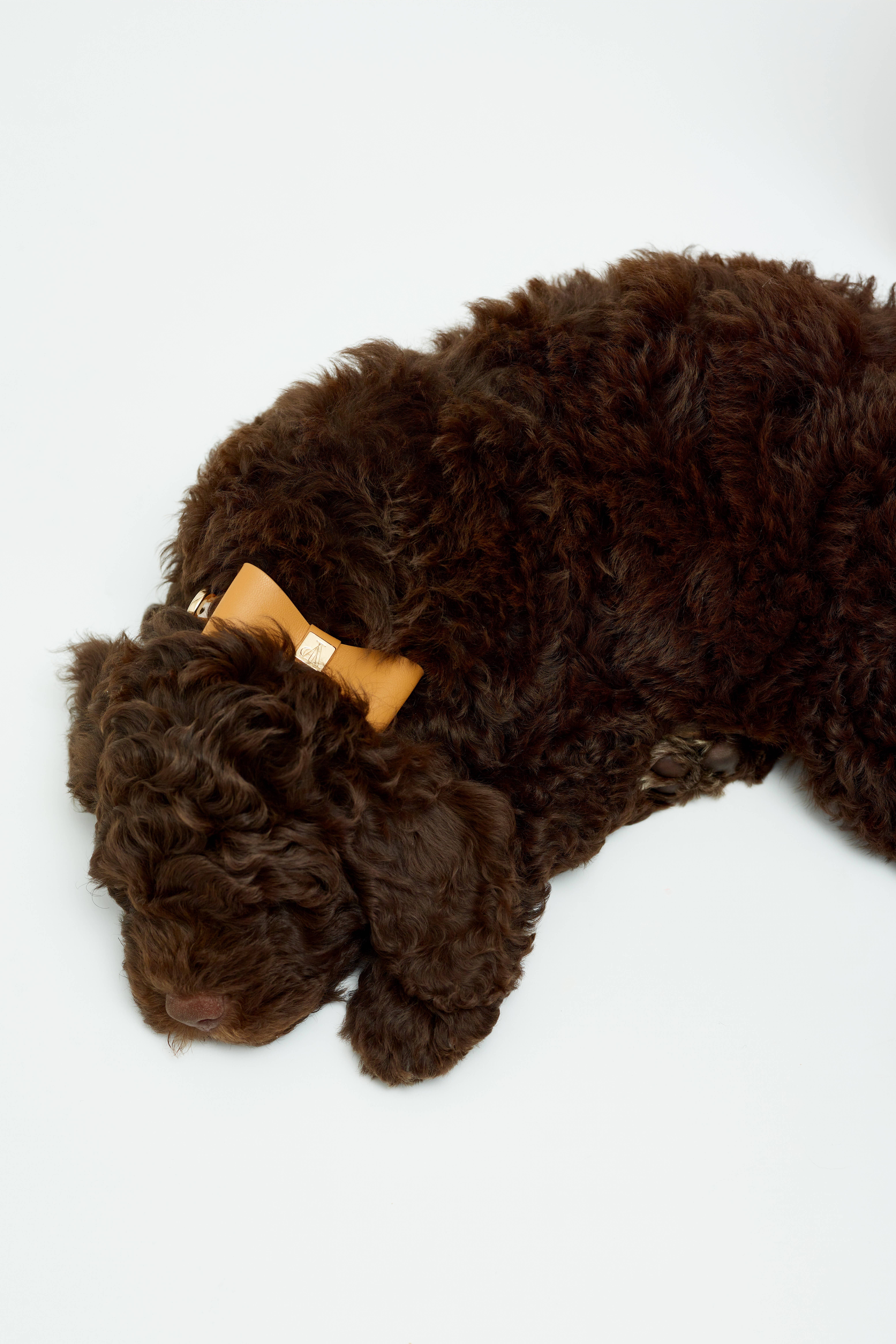 The V.I.PUP Collection - Wholesale Pet Collar - Dog - Denim Victorian 88 & Gold Collar4