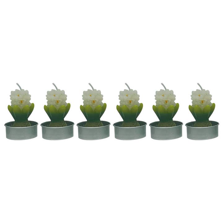 Set of 6 hyacinth tealight candles for wholesale by Opjet Paris