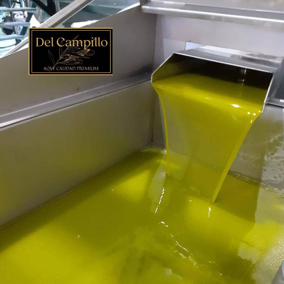 Del Campillo - Wholesale Olive Oil - PACK - 6 bottles EVOO del Campillo 100% Arbequina cold extraction. 500 ml bottle2