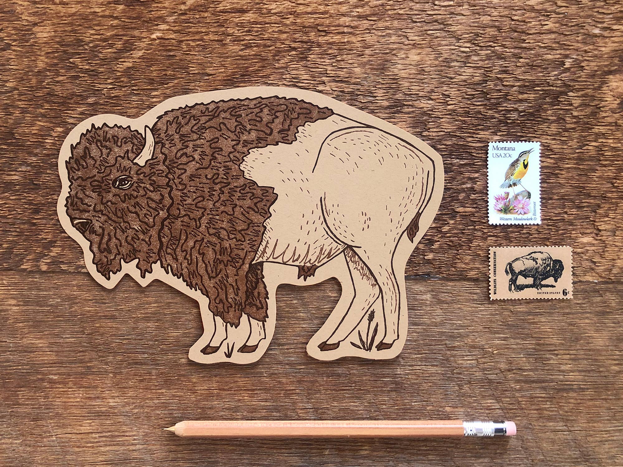 Noteworthy Paper & Press - Wholesale Postcard - Bison Postcard1