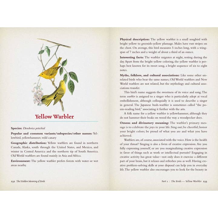 Microcosm Publishing & Distribution - Vente Livre sur la nature et les activités de plein air - La signification cachée des oiseaux : un guide de terrain spirituel2