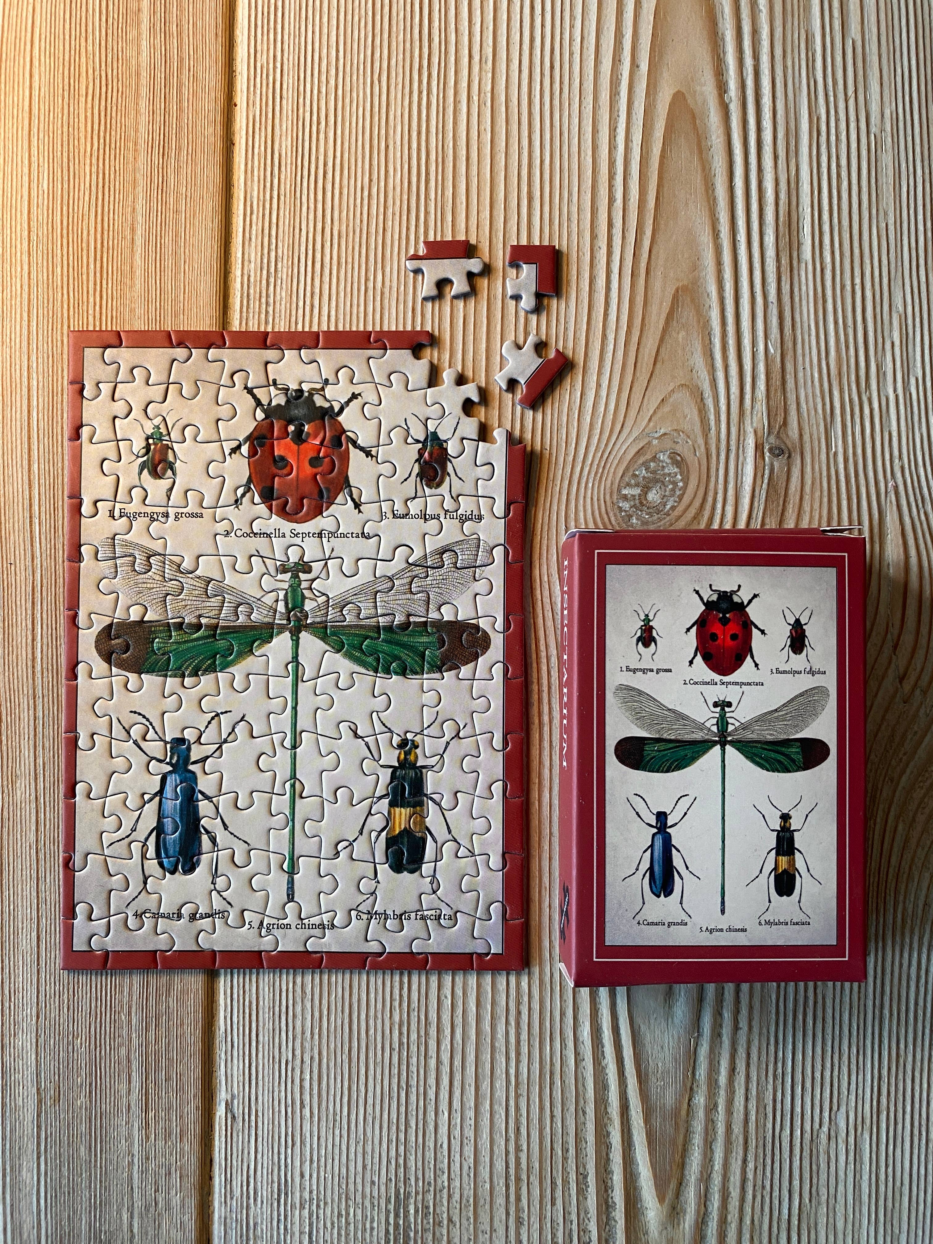 Penny Puzzle – wholesale Puzzle – Adult – INSECTARIUM 99 pcs vintage minipuzzle1