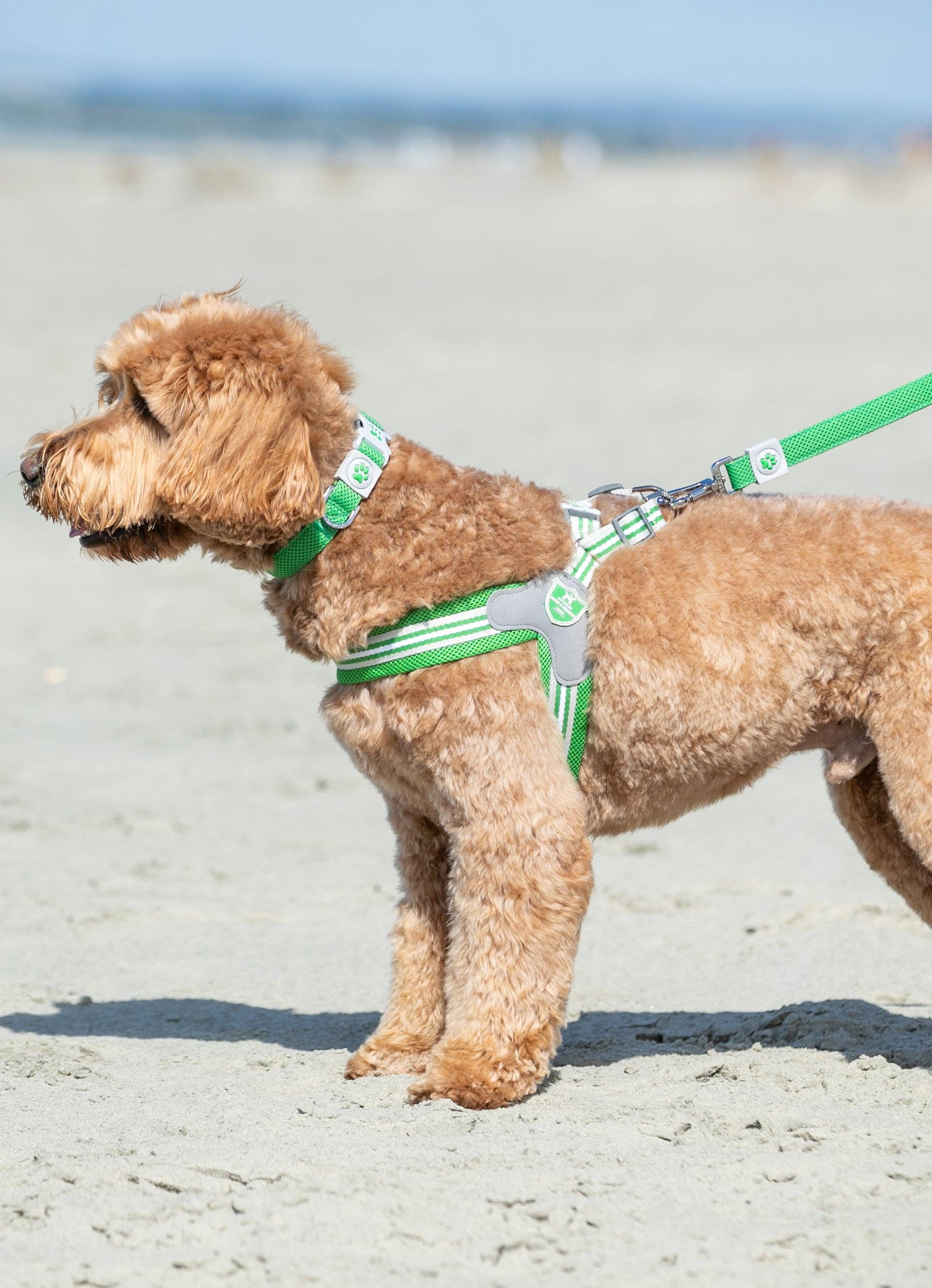 Hugo & Hudson - Vente Harnais – chien - Harnais Easy Walk V pour chien - Vert1