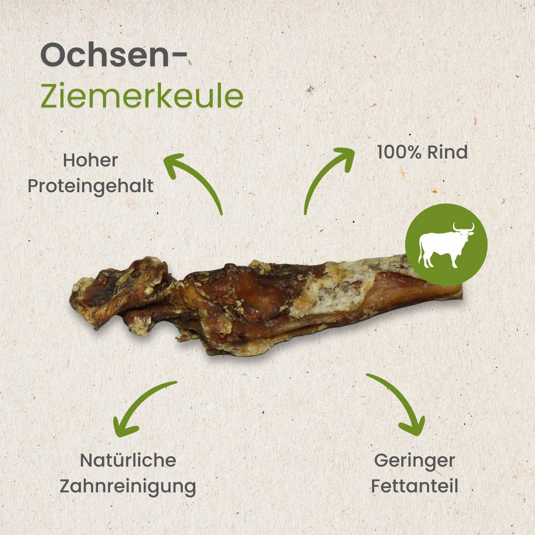 Kauartikel.com GmbH - Wholesale Pet Bone/Rawhide - Dog - ox-brick-leg3