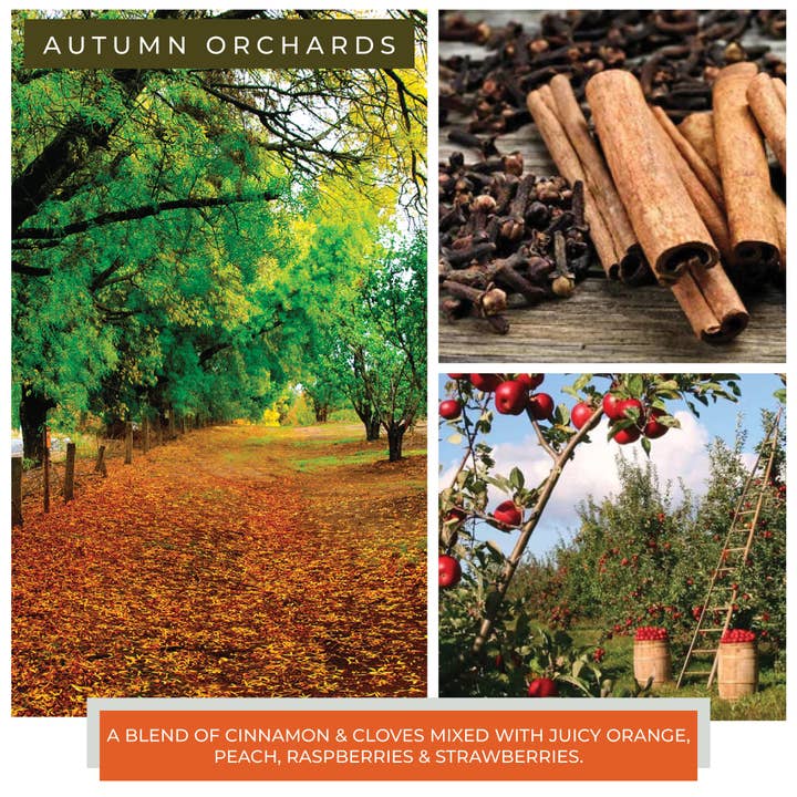 A Cheerful Giver - Wholesale Jar/Filled Candle - KOTL Baby Candle (6oz.) – Autumn Orchards2