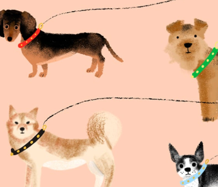 Carolyn Suzuki – wholesale Födelsedagskort – UT PÅ EN PROMENAD 2020 - Födelsedagskort2