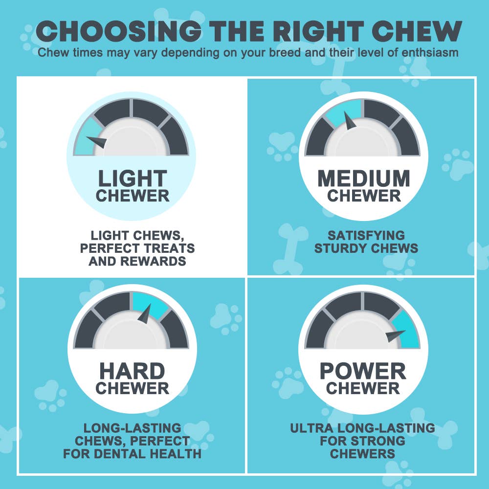 Hotspot Pets - Wholesale Pet Treats - Dog - 6'' Flat Beef Gullet Strips Dog Chew Treats, 12,24 & 50 CNT1