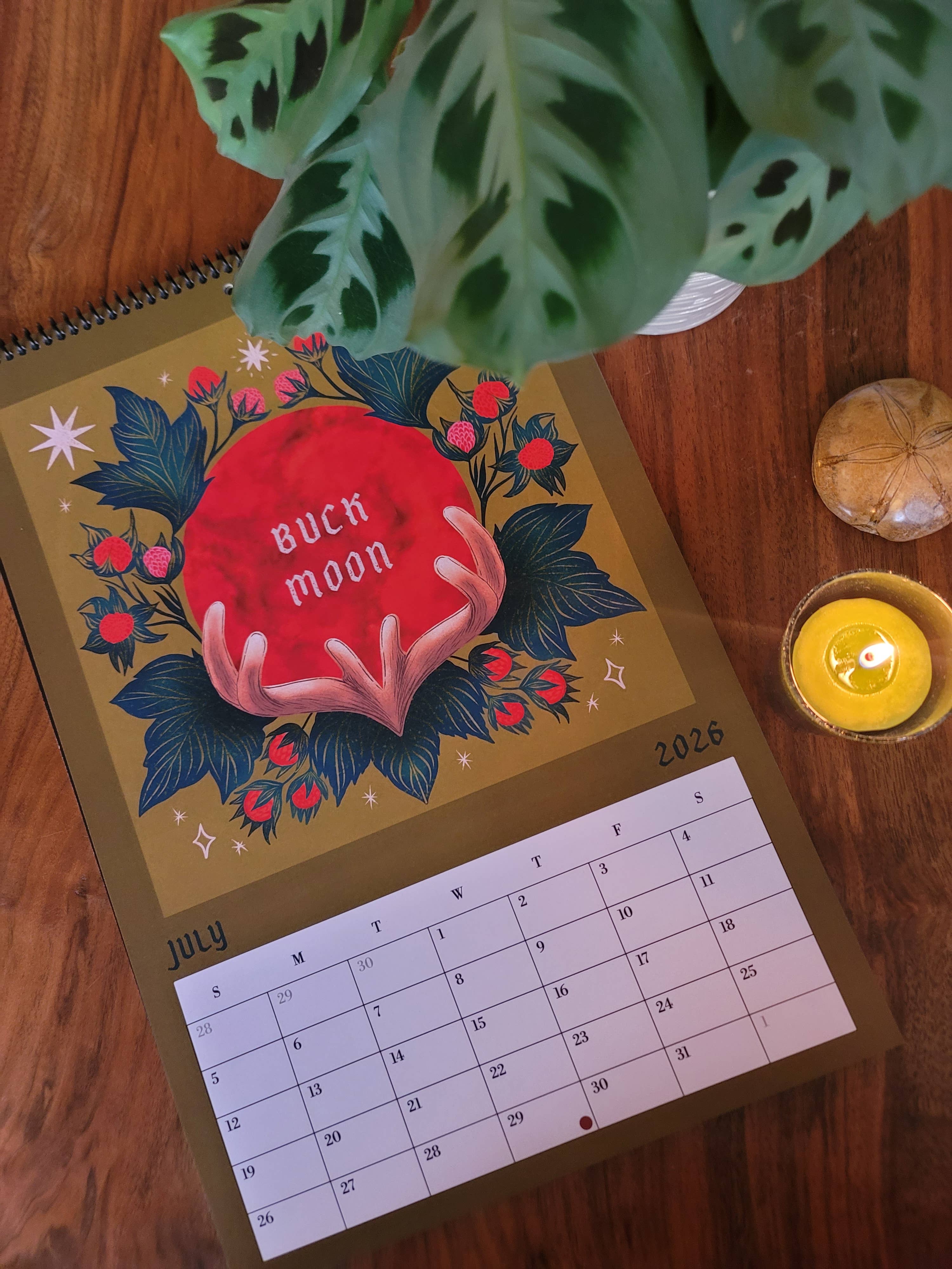 Black Moss Studio - Wholesale Calendar - 2026 Full Moon Calendar – Large 11×16.5 12 Month Calendar8
