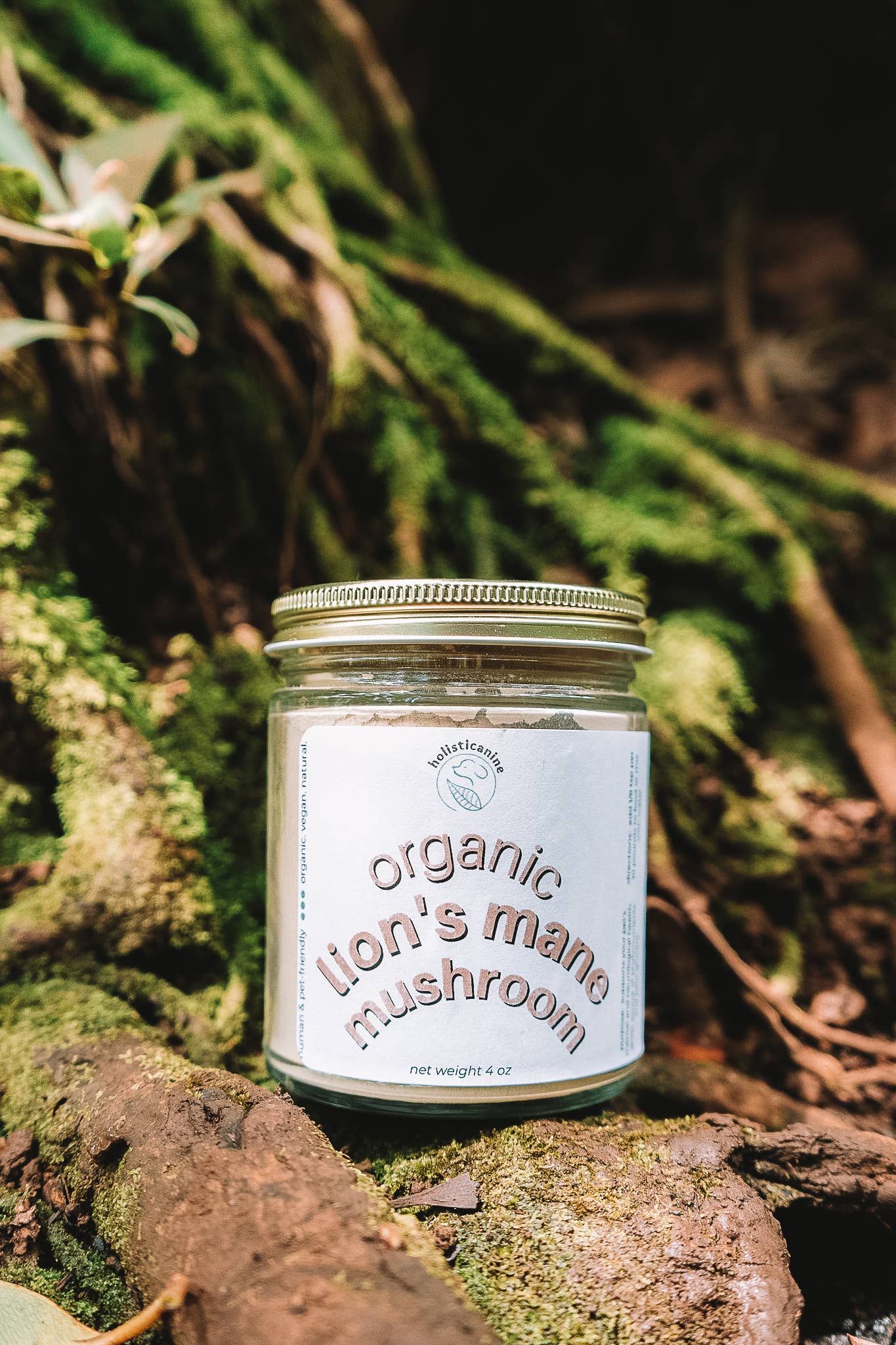 holisticanine - Wholesale Pet Supplement - Dog - Organic Lion's Mane Mushroom Supplement3