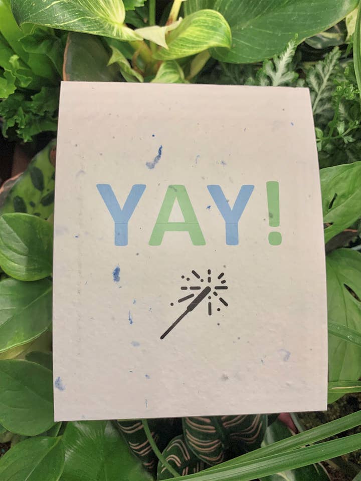 Plantable Card: Yay! for wholesale by Seeds of Paper