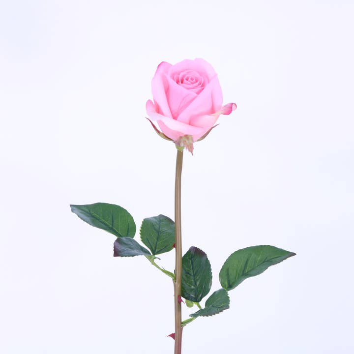 Green Import Limited - Vendita all'ingrosso Fiori finti - SPRAY PER BOCCIOLI DI ROSA FN20023 (OPACO), 23"