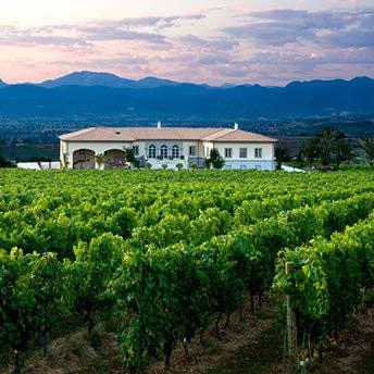 Italian Within - Wholesale Olive Oil - Cantico Extra Virgin Olive Oil 'The expression of Umbria' Organic Biologico3