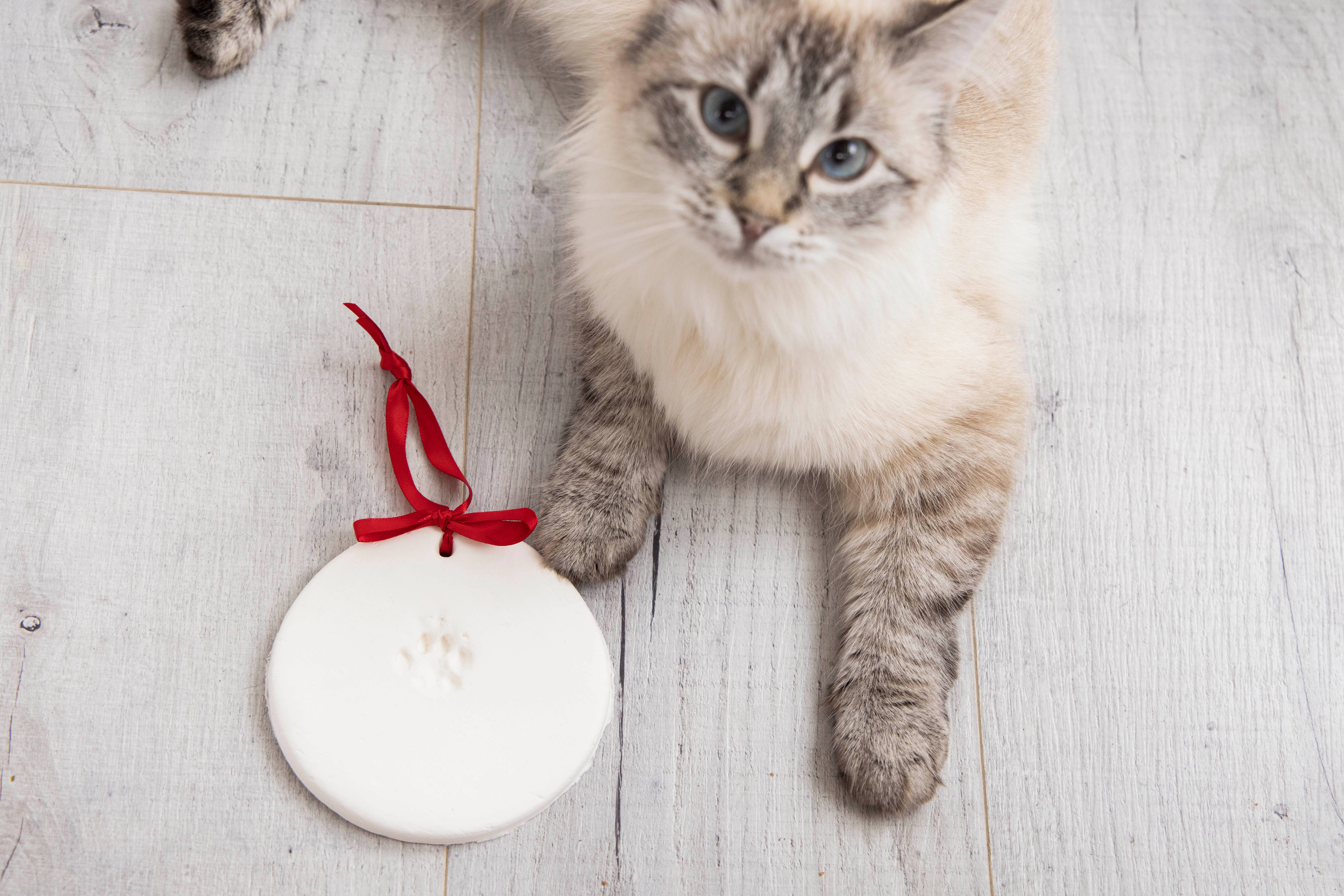 Pearhead - Wholesale DIY Craft Kit - Holiday Pawprints Christmas Ornament Kit, 2 Pack5