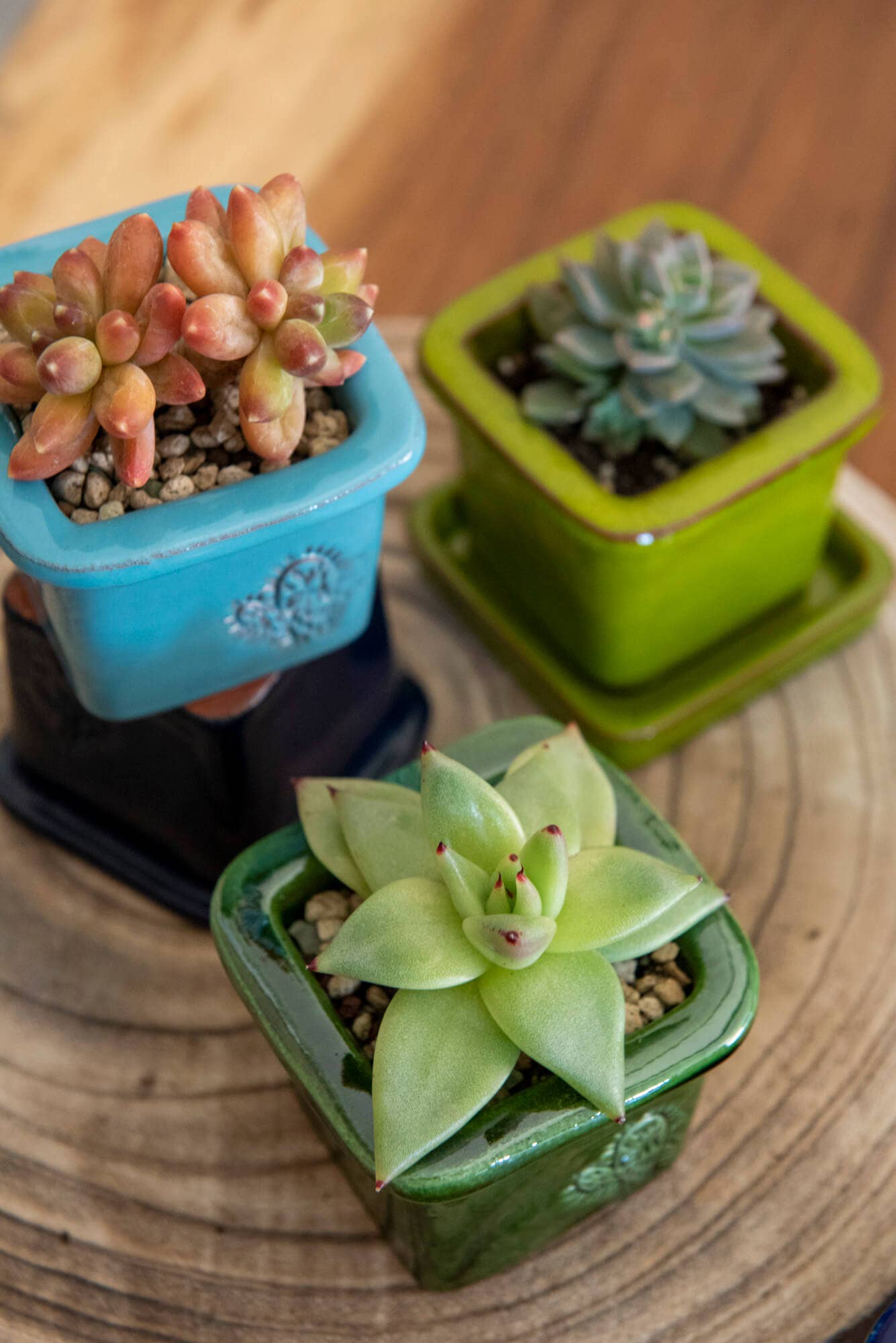 Vasos Quadrados by EM – Vaso de plantas por atacado – VASO QUADRADO MINI 6x6 - BRILHO50