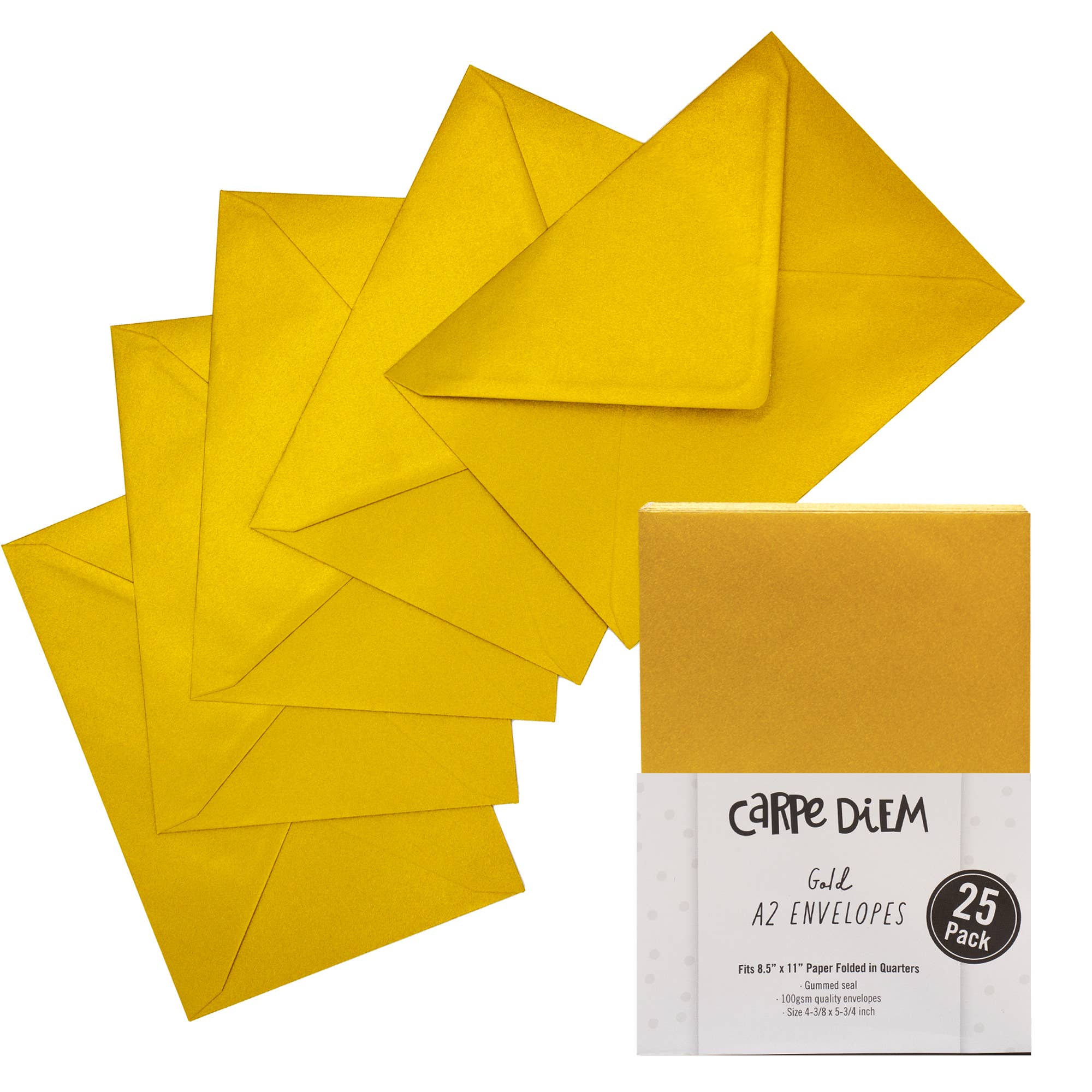 Pukka Pads North America - Wholesale Envelopes - Carpe Diem A2 & A7 Envelopes Pack 253