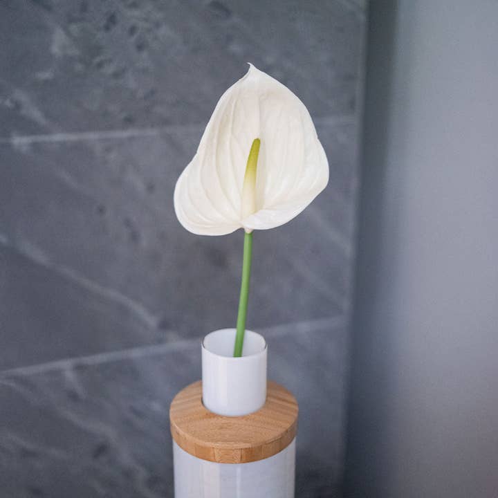 Flowrette - Wholesale Artificial Flowers - Cream anthurium1
