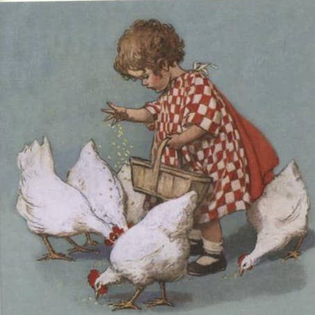 CATCH 12X12 DOUBLE CARDS NC 33863 for wholesale by Phenicia