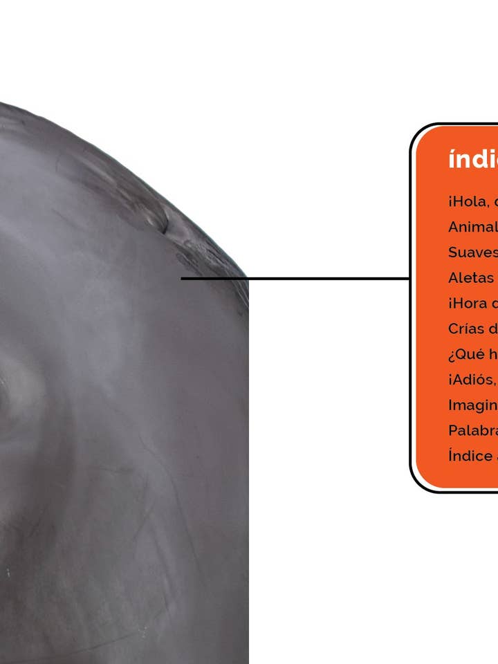 Los delfines for wholesale by The Creative Company