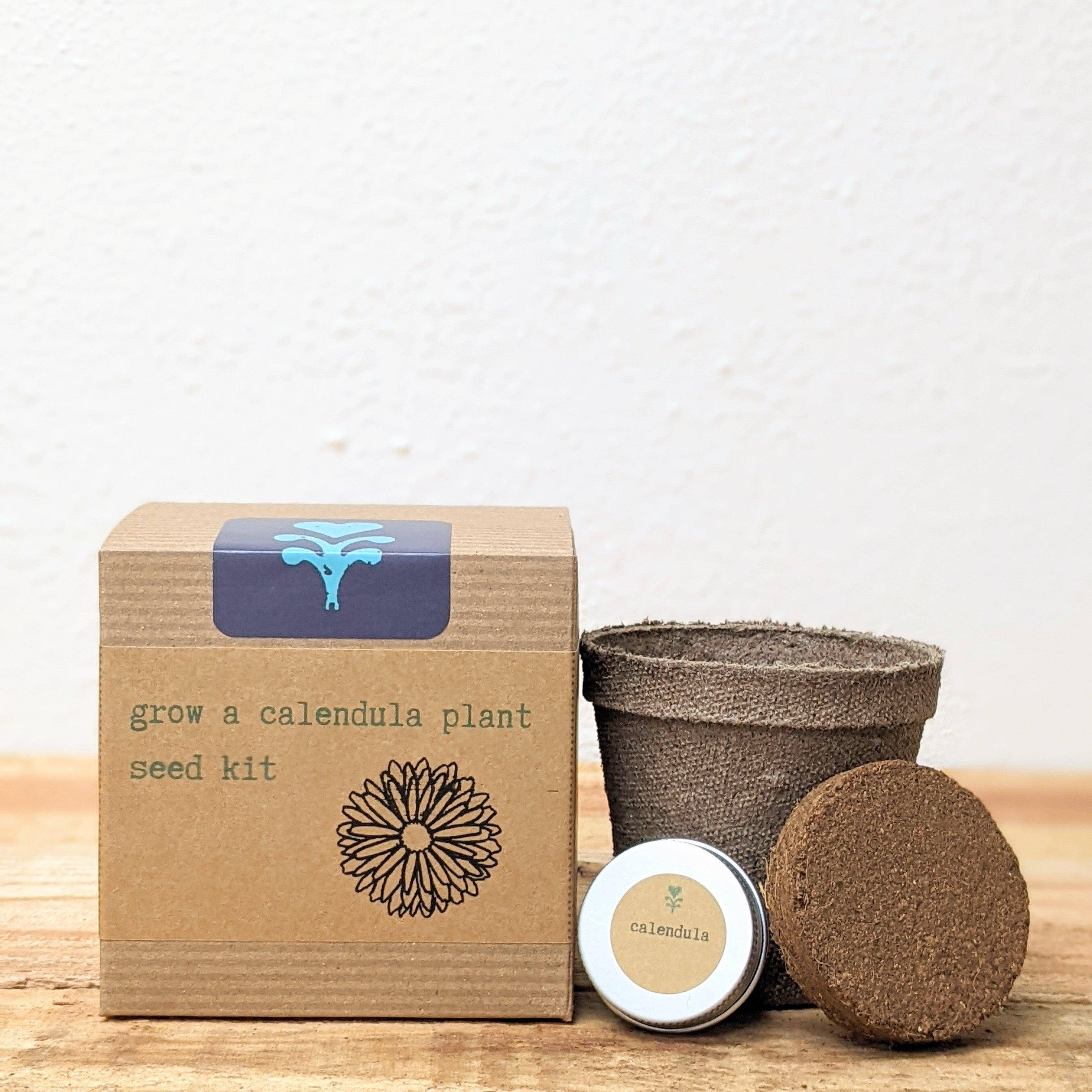 Plantflix - Wholesale Plant Seeds - Herb Seed Kit4