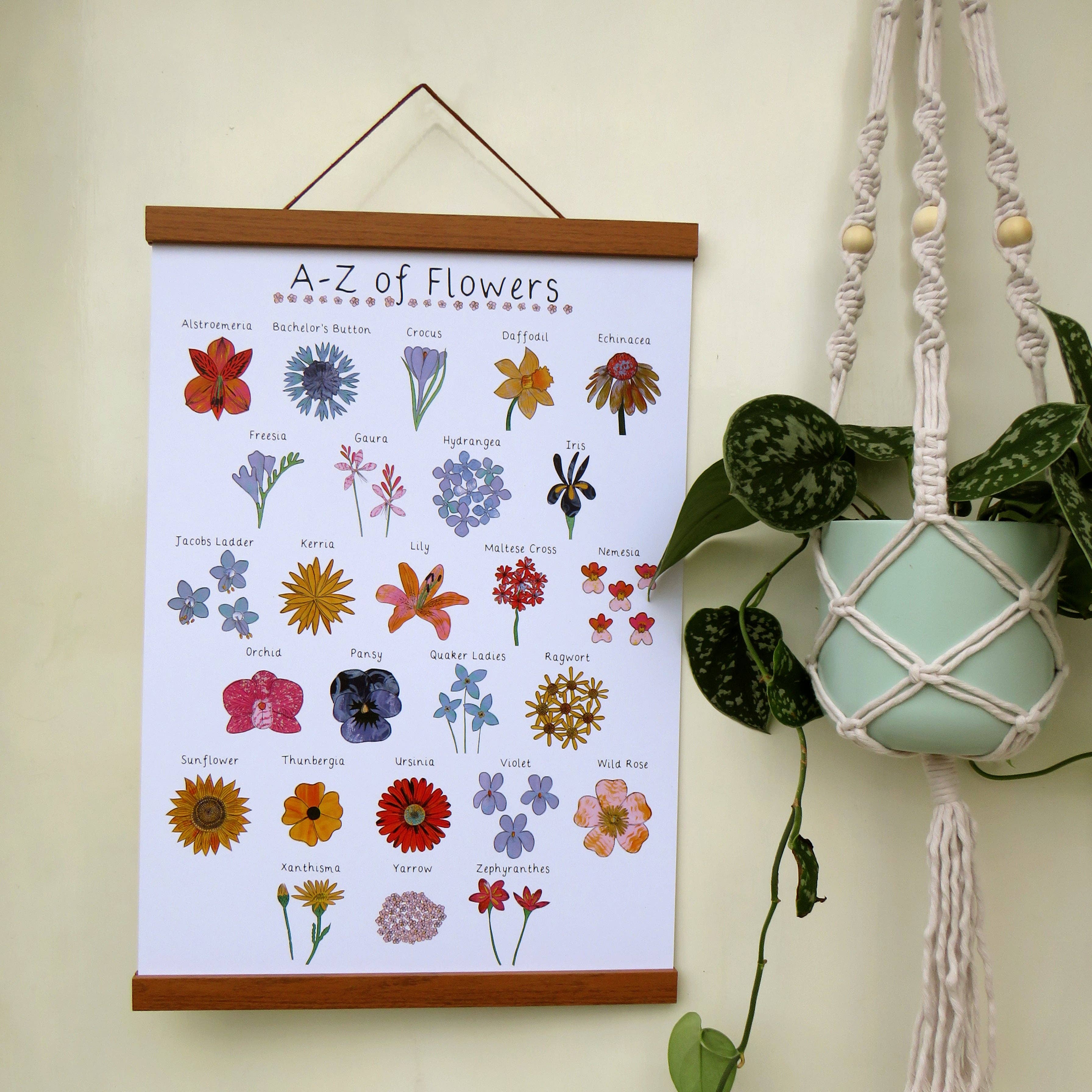 Kathryn Churn Designs – Großhandel Kunstdruck – A-Z des Blumendrucks in A4 und A33