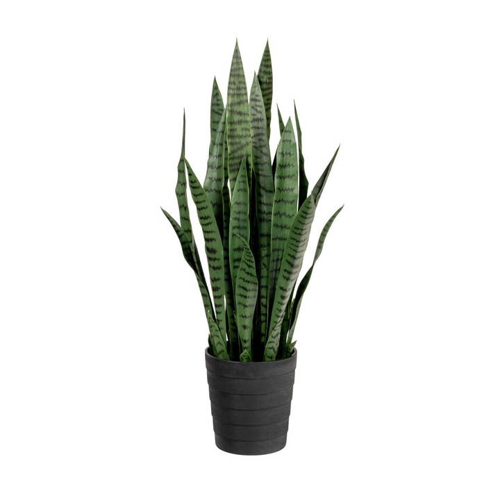 3’ Snake Plant FP1313 for wholesale by Replica Plants and Decor