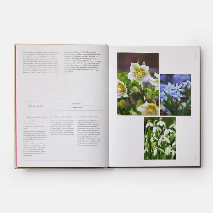 Phaidon - Wholesale Home & Garden - The Seasonal Gardener: Creative Planting Combinations2