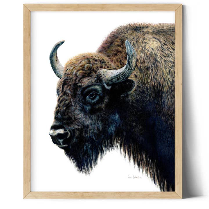 "Yellowstone" A Bison Colored Pencil Vertical Print for wholesale by Sara Forbush Art