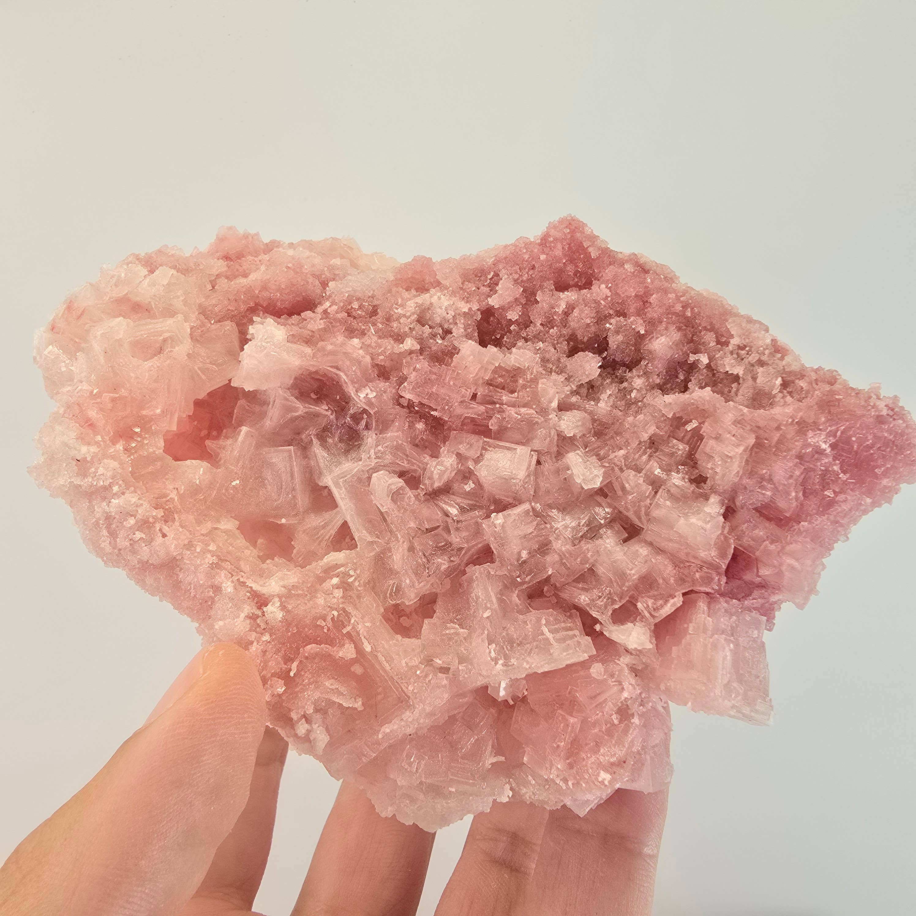 Aquamarine Daydream Wholesale - Wholesale Spiritual Stone/Crystal - 6pc Pink Halite ~ Bulk Mineral Flats ~ Crystal Specimens #59
