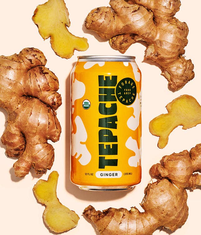 Forage Kombucha - Wholesale Kombucha - Ginger Tepache3
