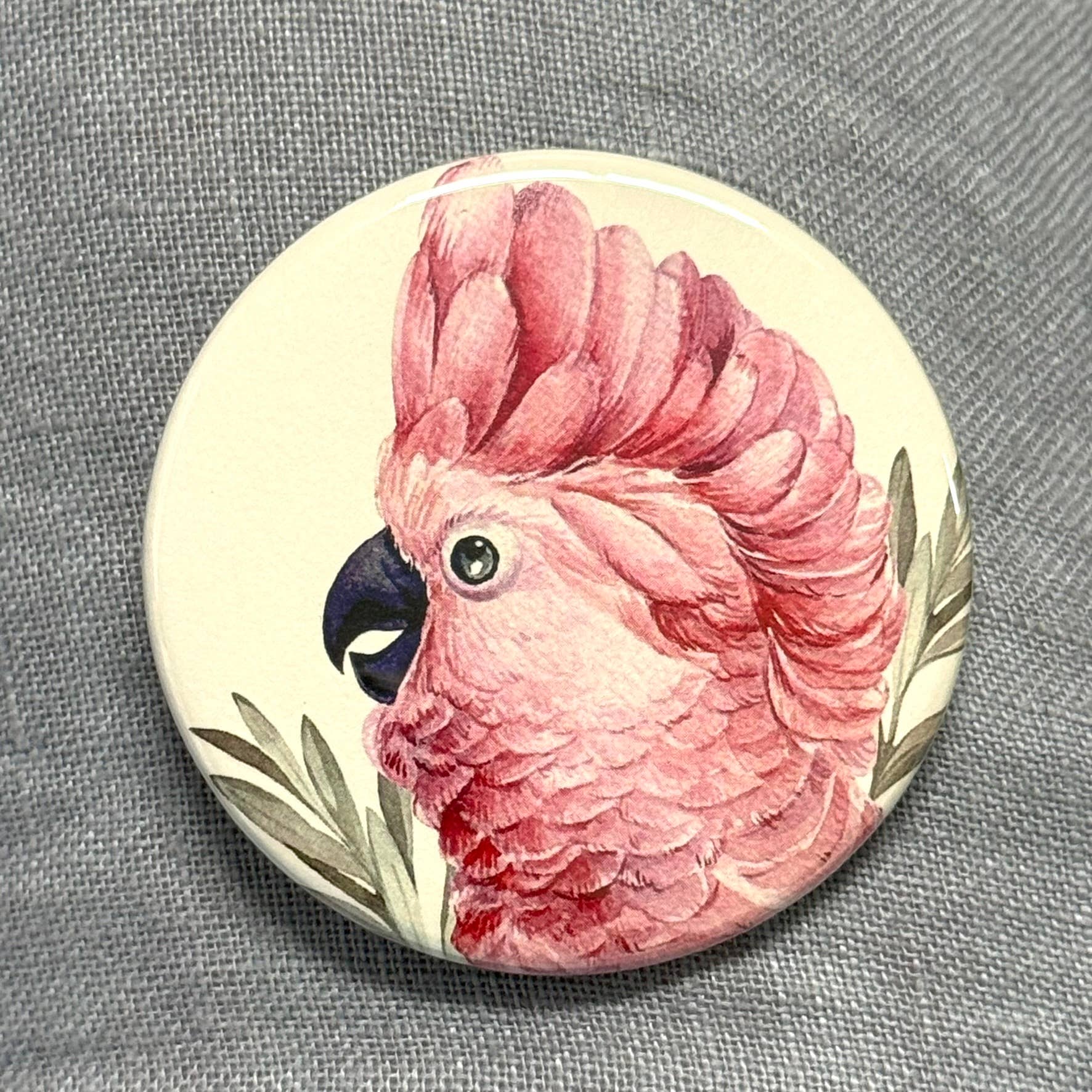 Scattered Seed Co - Wholesale Magnet - AUSTRALIAN BIRDS Large Magnets set of 42