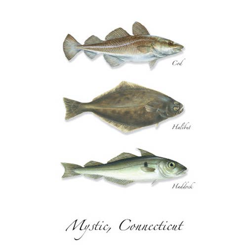 North Atlantic Fish Trio for wholesale by Earth Sky + Water
