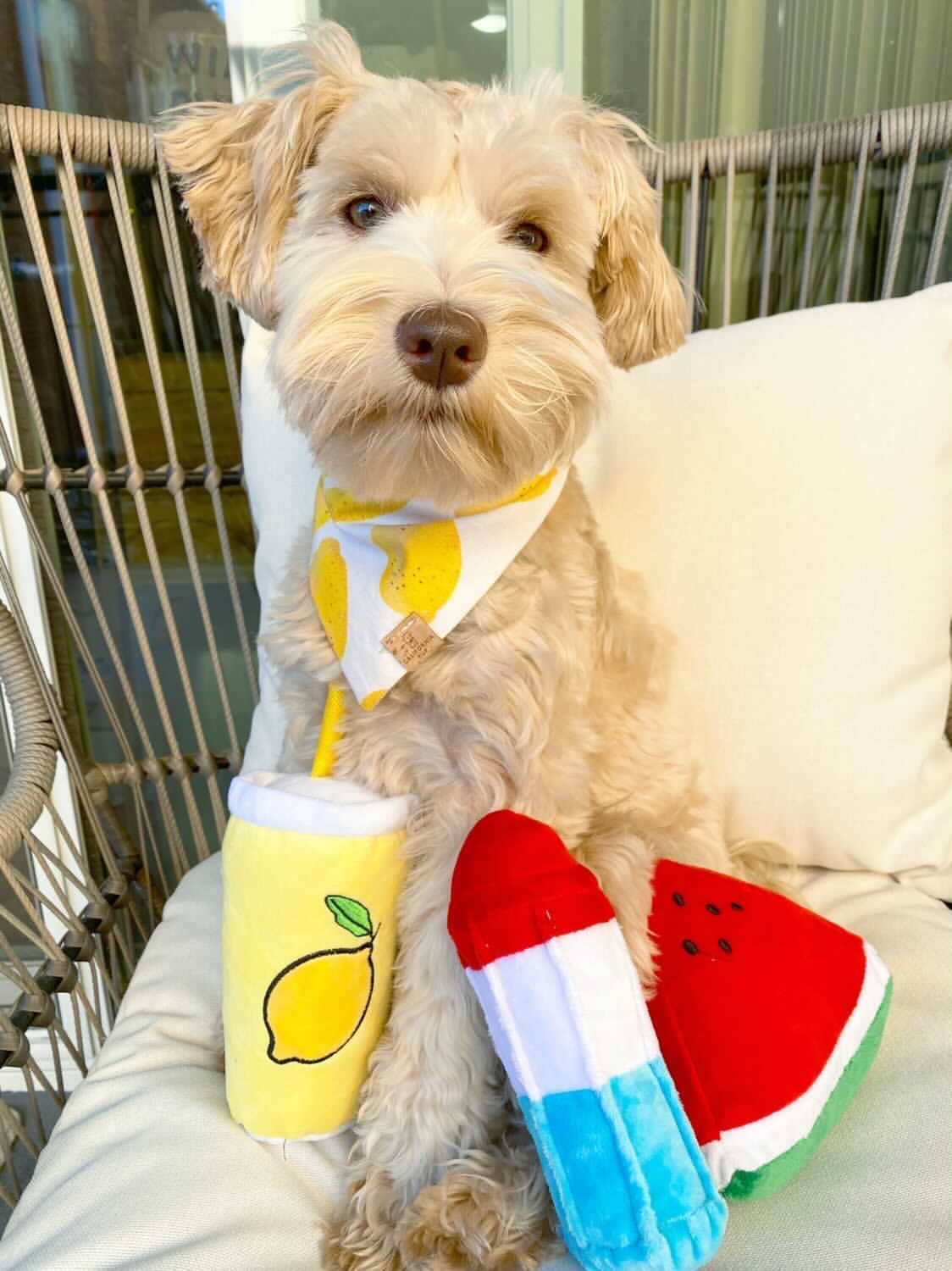 TONBO - Wholesale Pet Plush Toy - Dog - TONBO Summertime Combo - Dog Toys, Popsicle, Watermelon2