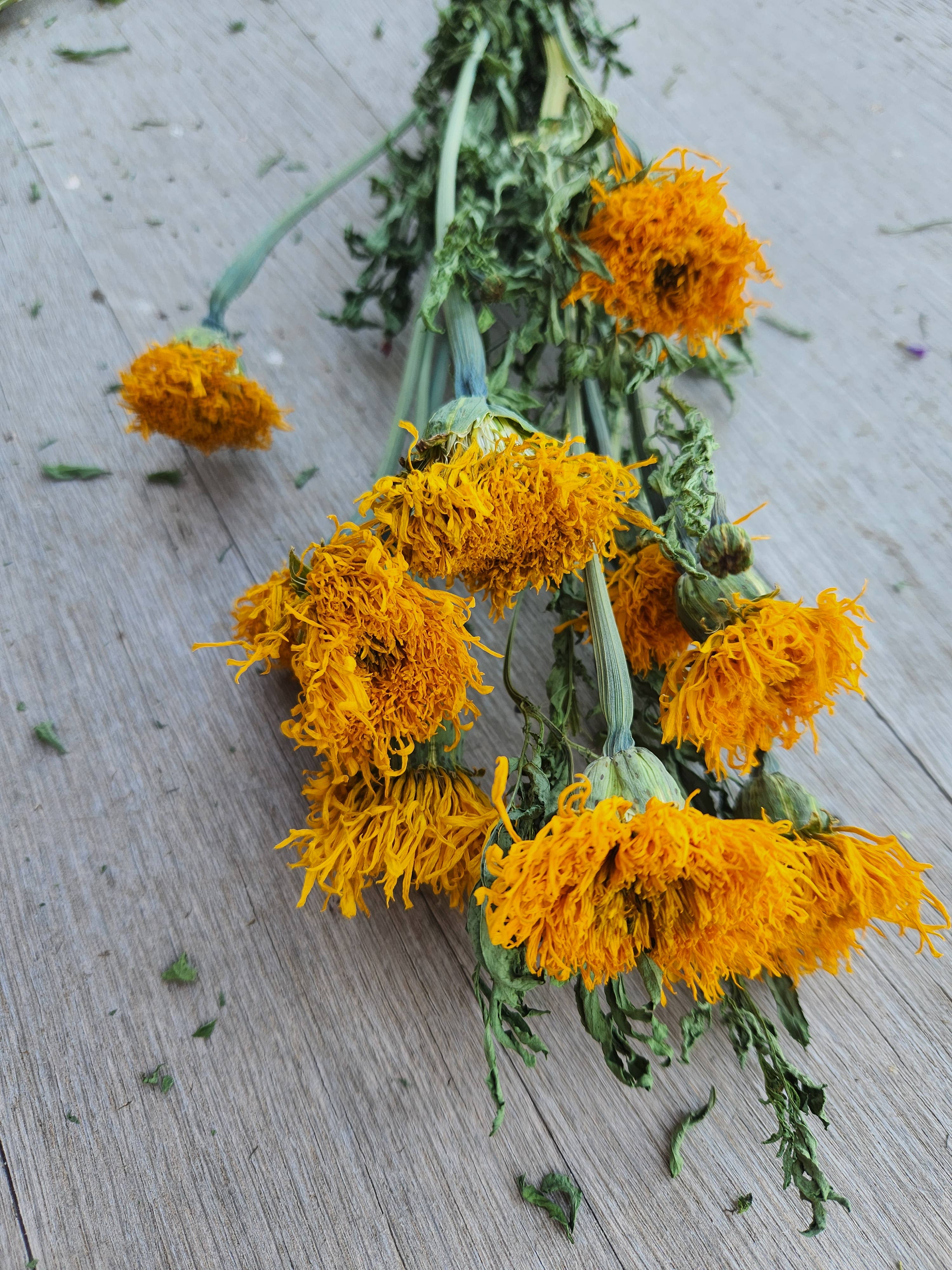 Alissas Flower Farm - Vente Fleur séchée/pressée - Soucis séchés4