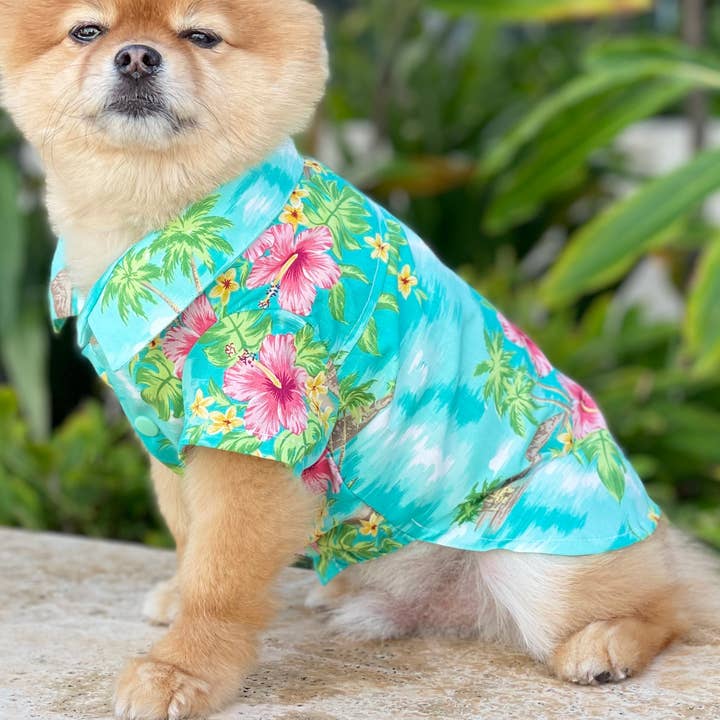 Chemises hawaïennes pour chiens : Pack imprimé mixte avec les 8 tailles mélangées pour la vente par Muumuu Rainbow / DBA Princess Kaiulani Fashions