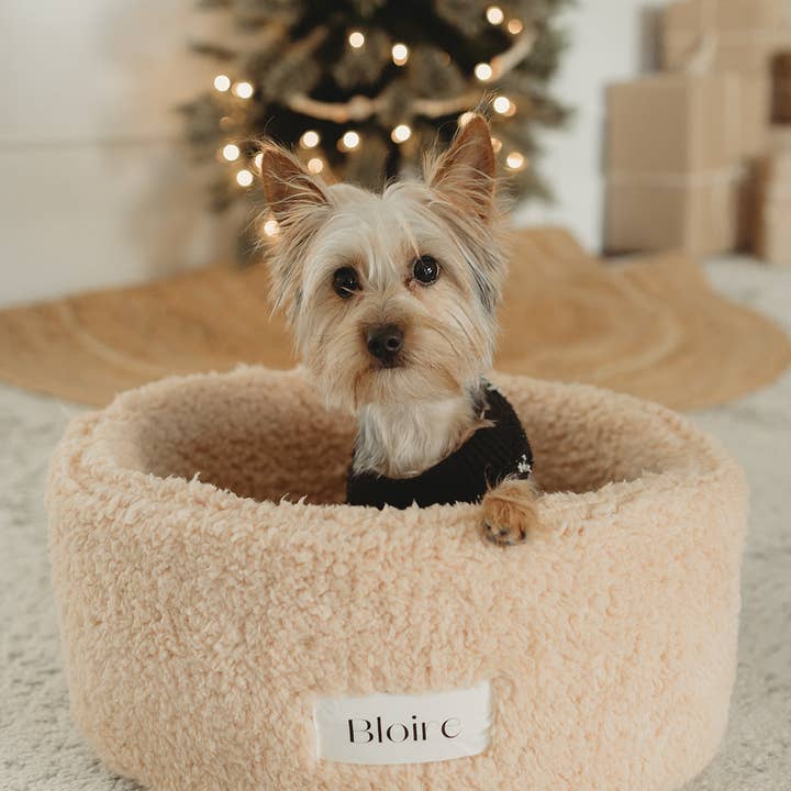 Bloire - Wholesale Pet Bed - Cat - Sherpa Bed - Small dogs and Cats
