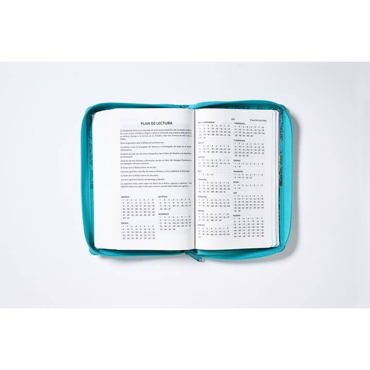 HarperCollins Christian Publishing - Wholesale Religion - RVR60, Santa Biblia, Tierra Santa, Ultrafina, Letra grande, 12