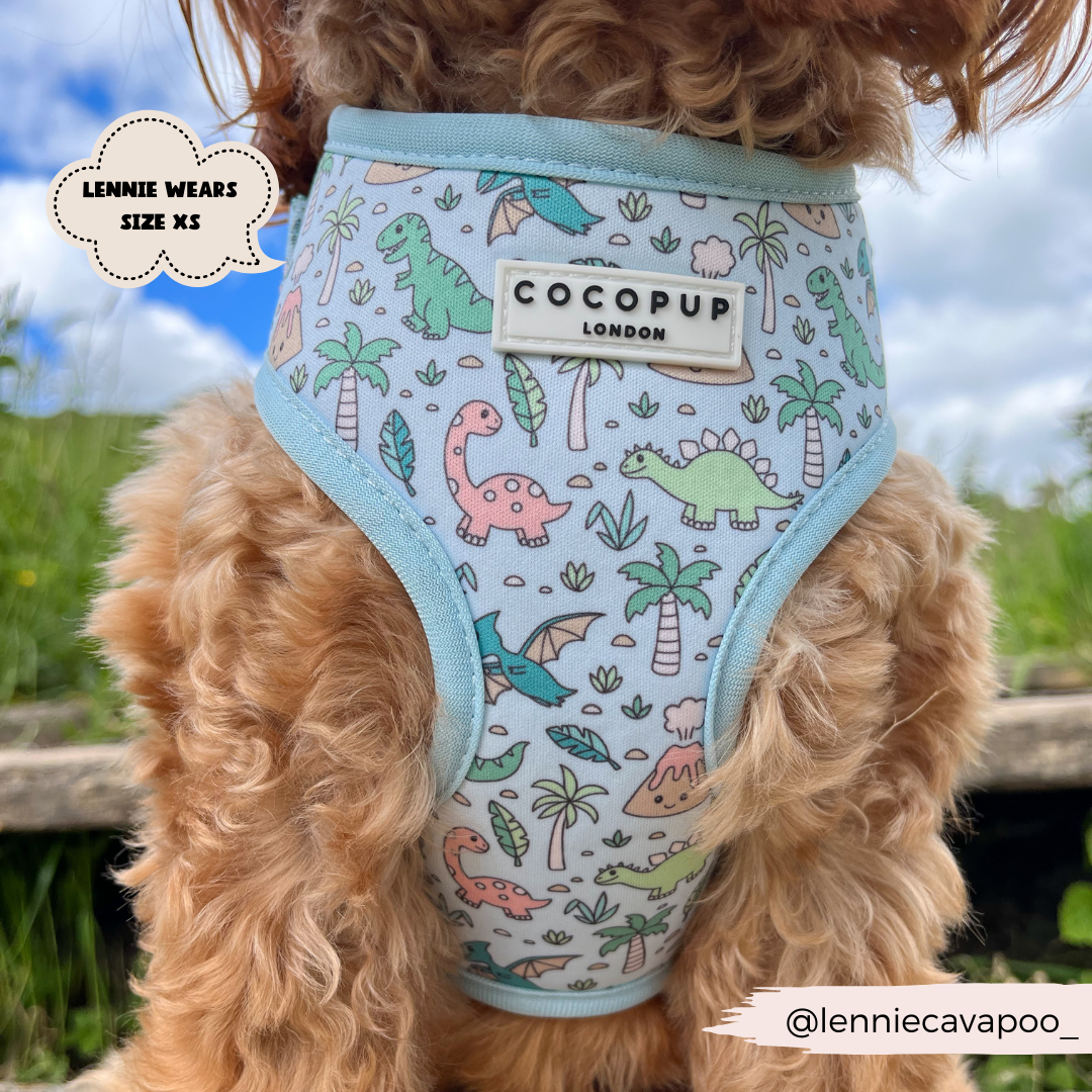 Cocopup London - Venta al por mayor Arnés - Perros - Arnés ajustable para cuello Dinopaws15