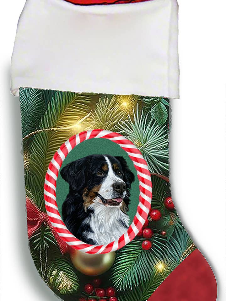 Berner Sennenhund - Weihnachtsstrumpf für den Großhandel von Best of Breed Products