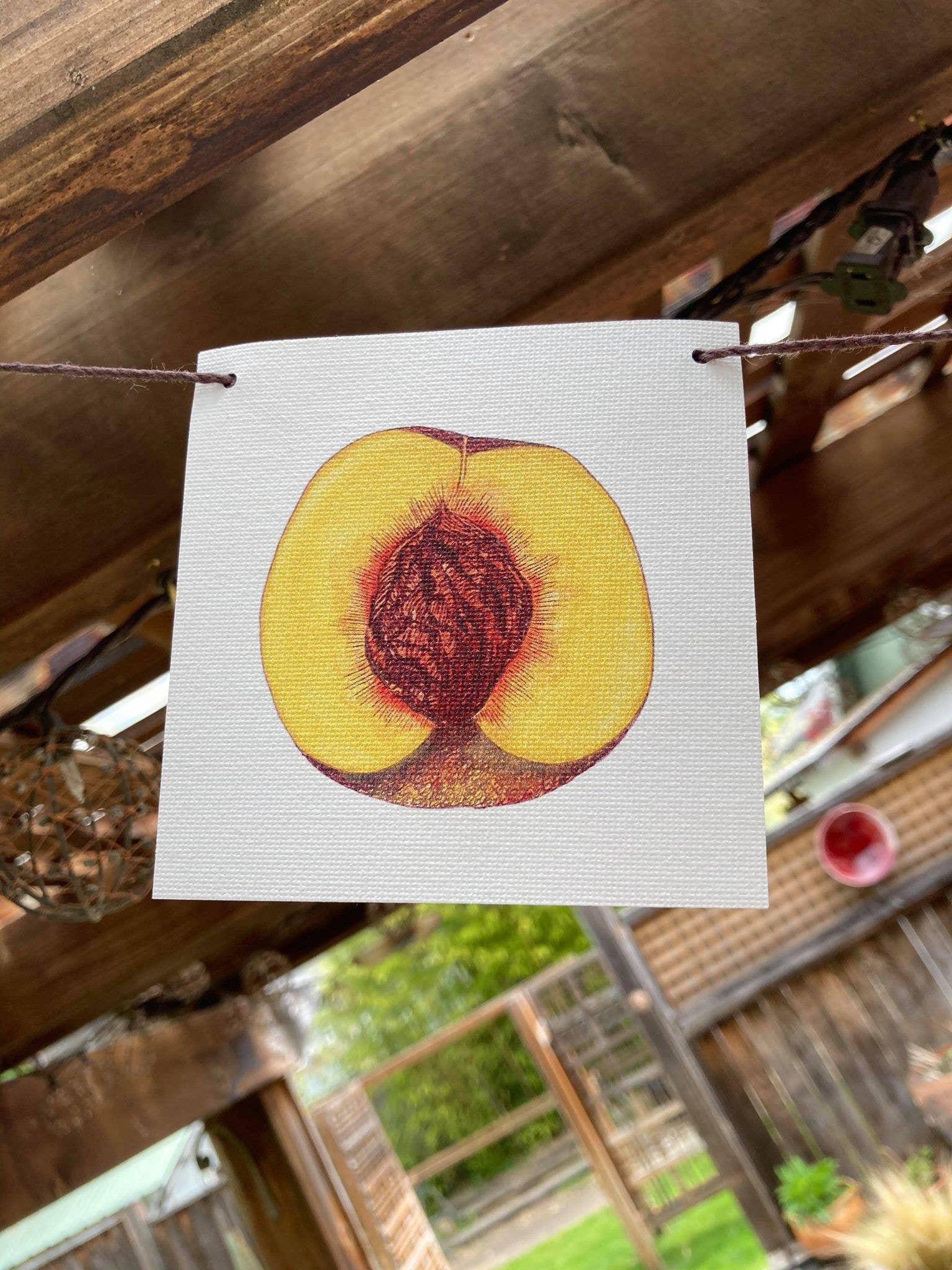 Plant Posse – wholesale Banner – Produce Prayer Flag12