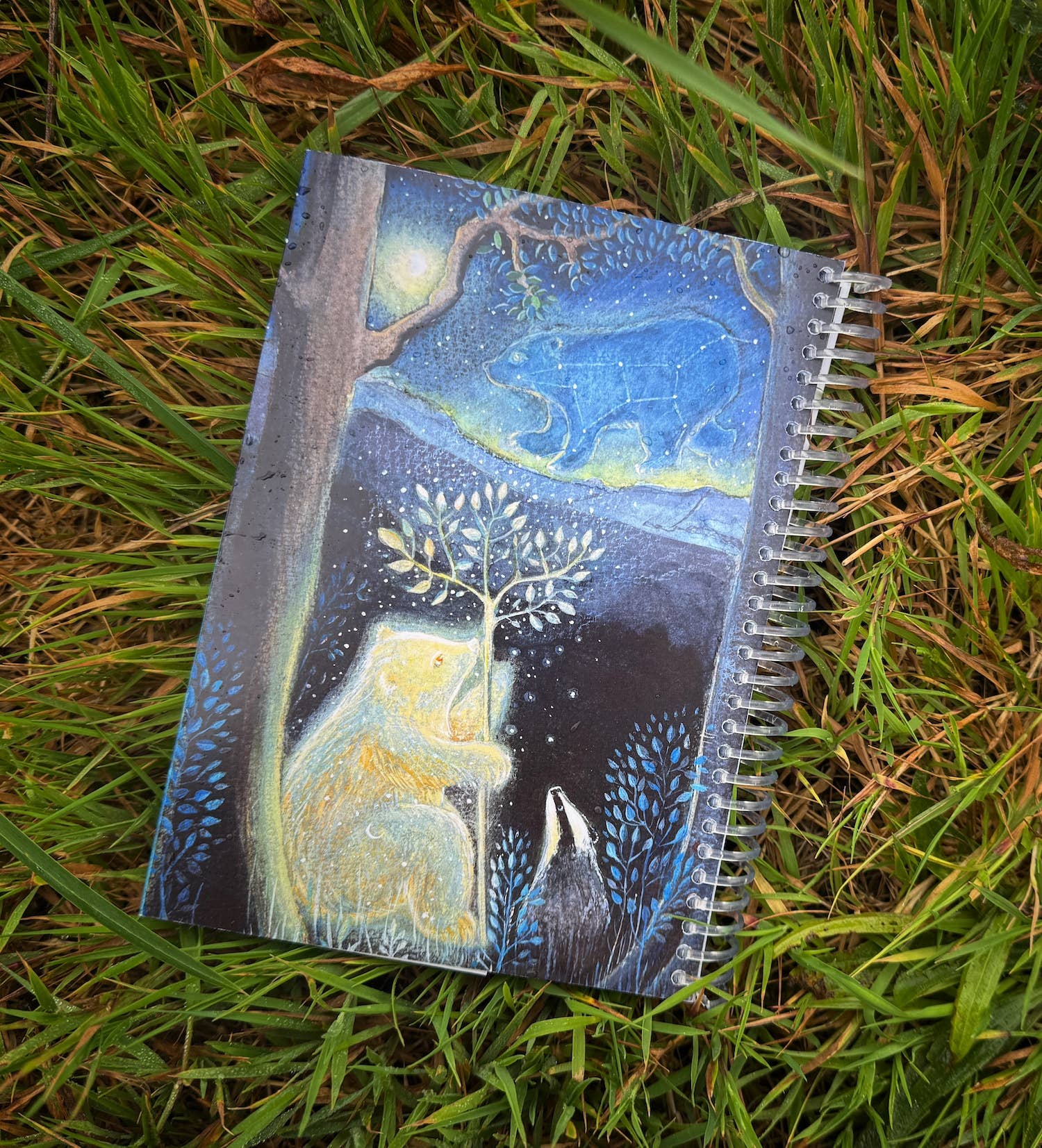 Hannah Willow Art – wholesale Journal/diary – Hannah Willow 2026 Diary6