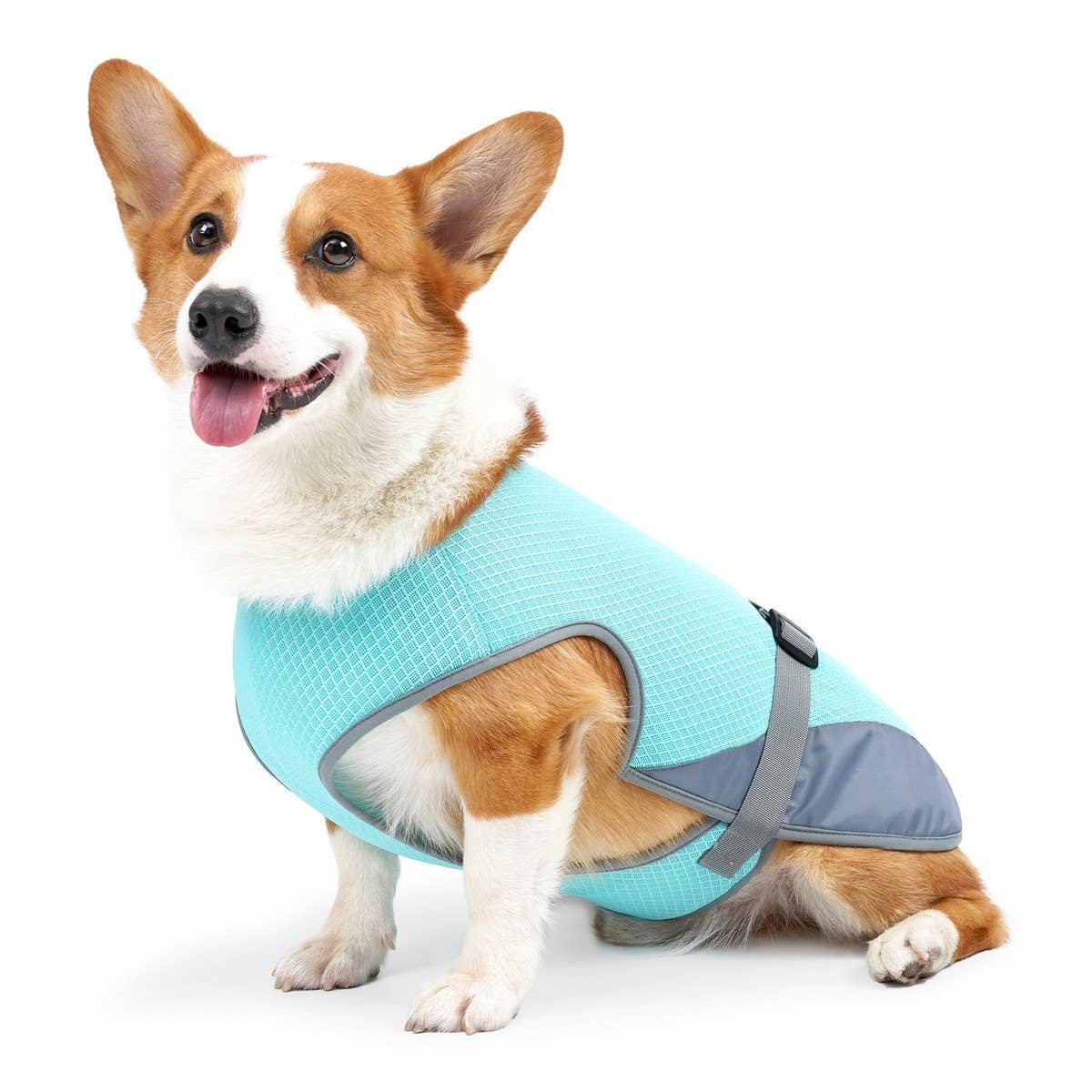 PAWPAWwholesale - Wholesale Pet Costume - Cat/Dog - Cooling Summer Vest for Dogs – Breathable_CWMM74590