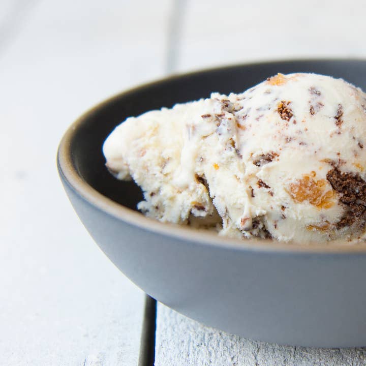 McConnell's Fine Ice Creams - Wholesale Ice Cream/Sorbet - Double Peanut Butter Chip2