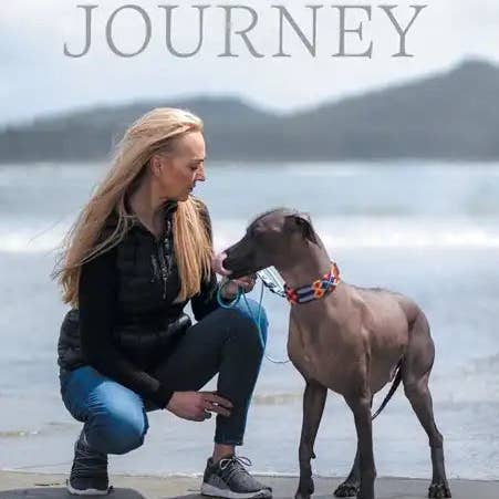 Books by splitShops - Wholesale Book - Adult - Jace's Journey - Hardcover