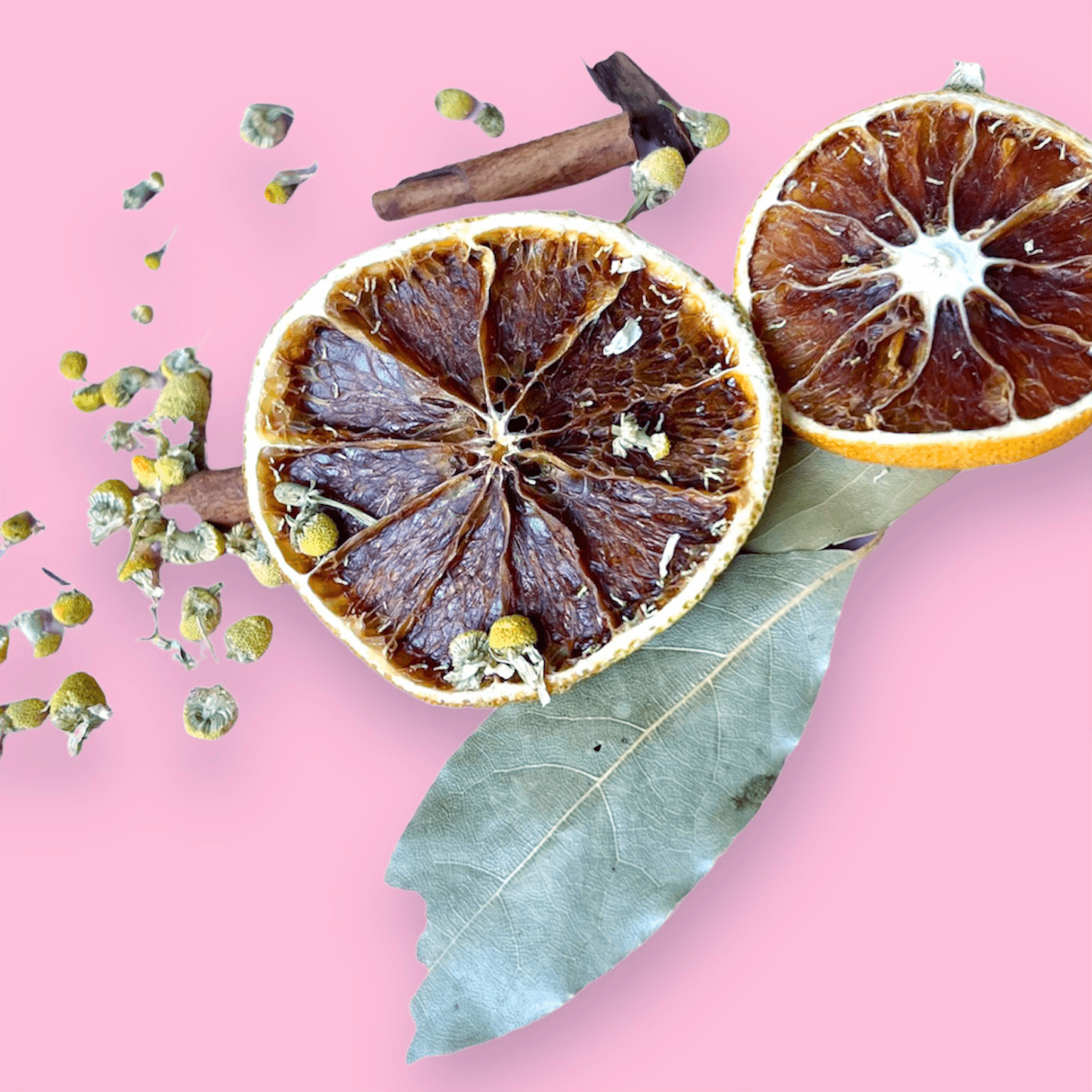 Venus Moon - Wholesale Meditation Supplies - Simmer Pot for Home Blessing2